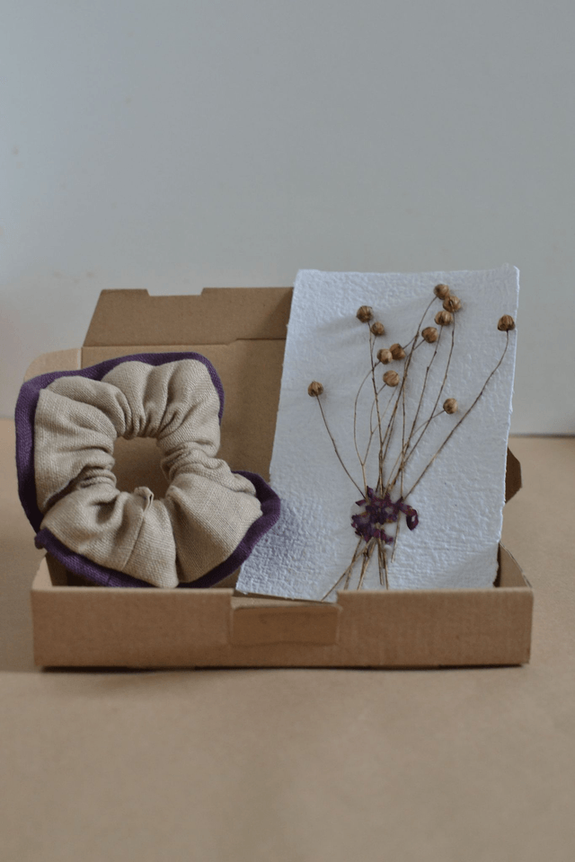 L'Attachant adulte - violet